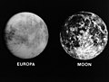 Europa and the Earth's Moon (4078805574).jpg