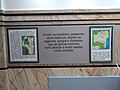 "Exposição_esotérica_-_Museu_Geológico_da_Bahia_2023_05.jpg" by User:Ixocactus