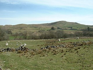 <span class="mw-page-title-main">Moel Oernant</span> Hill (503m) in Gwynedd