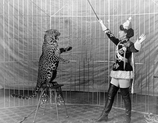 Female animal trainer and leopard, c1906.jpg