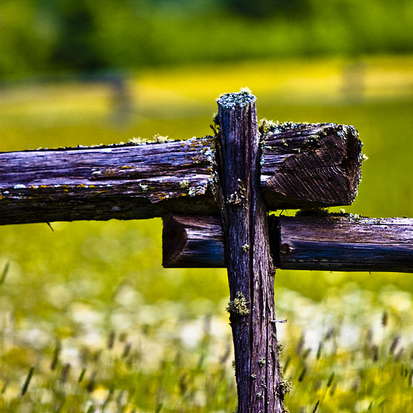 File:Fence + Field (2686305296).jpg