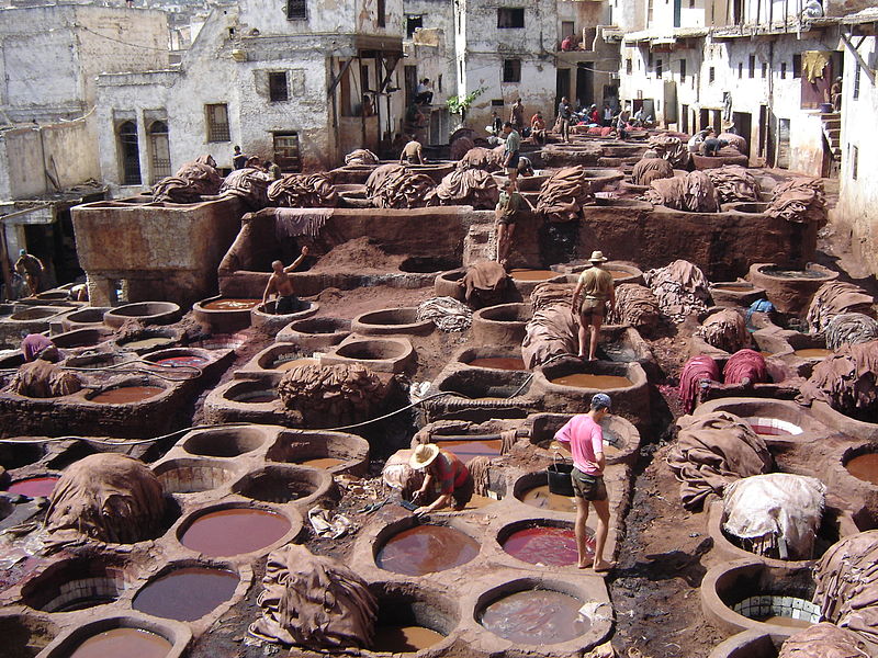 فاس المغربية :: حضارة ، تاريخ ،علم و تراث
