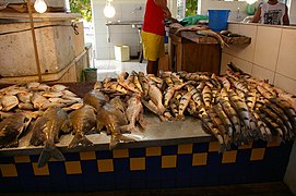 Varietà di pesci in vendita sul mercato di Manaus.