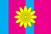 Flag of Kozelecas rajons