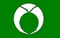 Flag of Ohara, Aichi, Japan