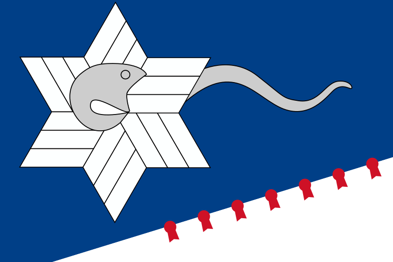 File:Flag of the Branch Davidians.svg