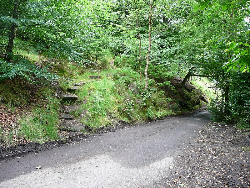 File:Footpath off driveway to Hebden Hey - geograph.org.uk - 3060456.jpg