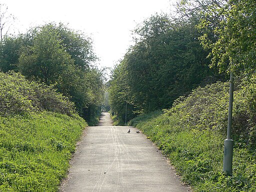 Footpath on the old railway - geograph.org.uk - 2366442
