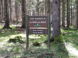 Image illustrative de l’article Forêt domaniale de la Croix-aux-Mines