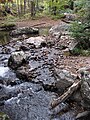 Fox Creek (west of Troutdale, Virginia, USA) 2 (30441613695).jpg