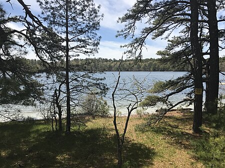 Gallows Pond, Plymouth MA