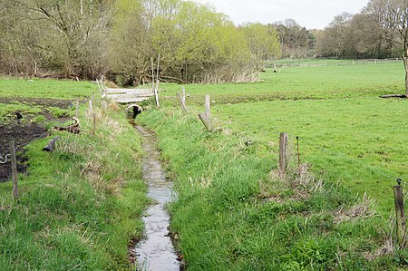 Ganderkesee Dummbäke