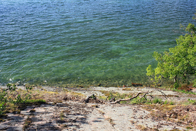 File:Gfp-new-york-wellesley-island-state-park-water-of-the-seaway.jpg