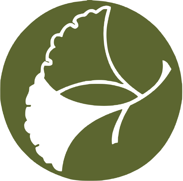 File:Ginkgo.svg