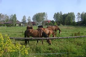 Jeziórko (Мазовецкое воеводство)