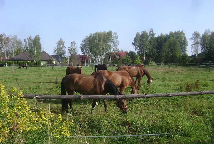 Jeziórko, Masovian Voivodeship