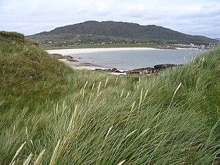 <span class="mw-page-title-main">Errisbeg</span> Mountain in western Ireland