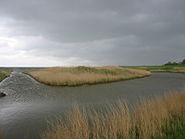 The landscape to the north of Greetsiel.
