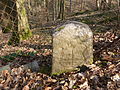 Grenzstein im Haldenwald (Stadtbezirk Möhringen) am Zaun eines ehemaligen Gartengrundstückes an der Christian-Belser-Straße, Stadtteil Sonnenberg, Stuttgart, Deutschland