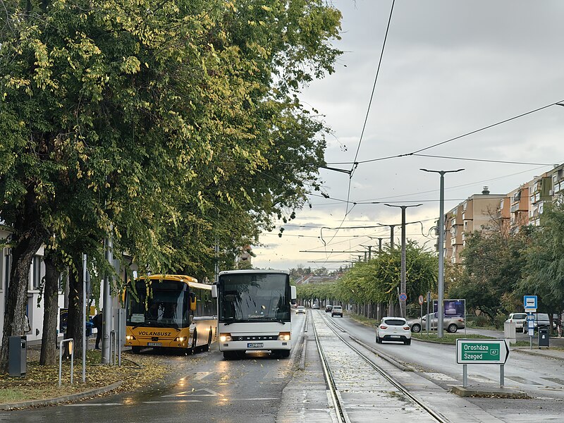 File:Hódmezővásárhely, busz, 2.jpg