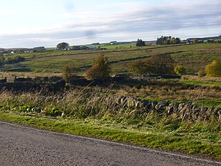 <span class="mw-page-title-main">Halton Lea Gate</span> Village in Northumberland, United Kingdom