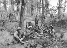 British, American and Australian troops lunching in a wood near Corbie the day before the attack. Hamel-Allied-troops-AWM-E02697.jpg