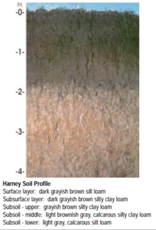Harney soil profile (Kansas State Soil).png