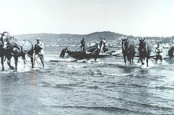 Seine fishing - Wikipedia