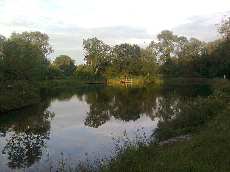 File:Hillam Pond July 10.jpg