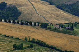 Hilly landscape of Tuscany.jpg