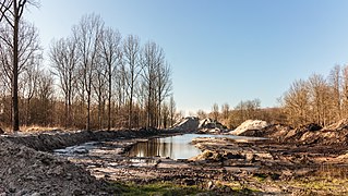 Hollandse Hout, natuurgebied in Flevoland. 07-02-2020. (actm.) 29.jpg