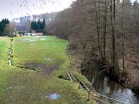 Holzape bei Wuelmersen