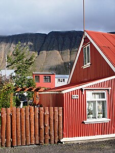 Ernir behind houses in Ísafjörður