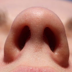 Image result for nostril