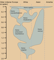 Humanevolutionchart sv.png