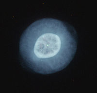 IC 2448.jpg
