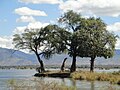 Island in the Zambezi River from Mana Pools National Park