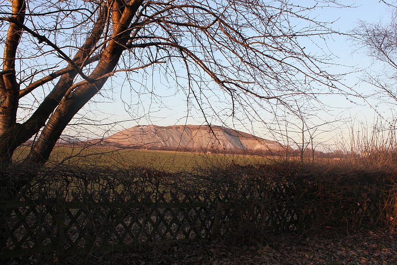 File:Jüdischer Friedhof Bolzum Sehnde-Bolzum Niedersachsen 51.JPG