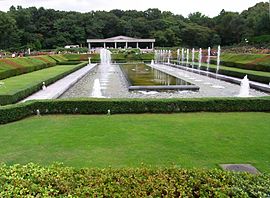Jindai Botanical Garden-2.jpg