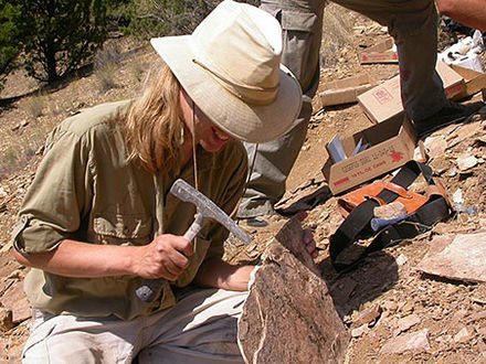 A paleontologist at work at John Day Fossil Beds National Monument