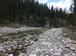 Junction Creek.jpg