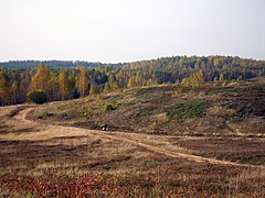 Heath in the Põhja-Kõrvemaa Nature Reserve in Estonia