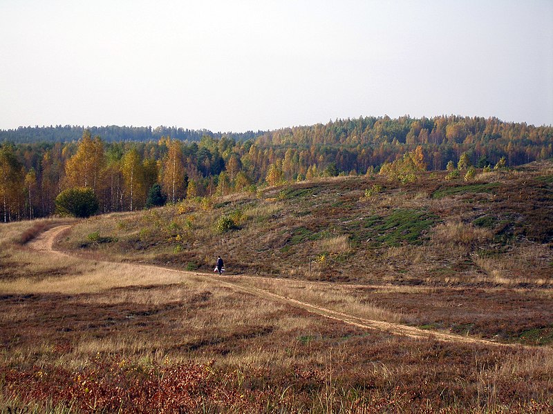 File:Jussi heath in autumn.JPG