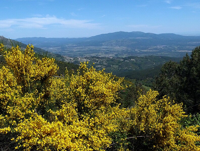 File:KM16ValleDelTiétar4.jpg