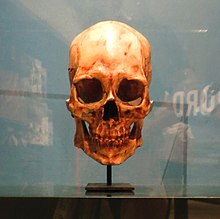 Kennewick Man.jpg 