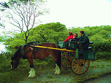 Tourists near Ross Castle