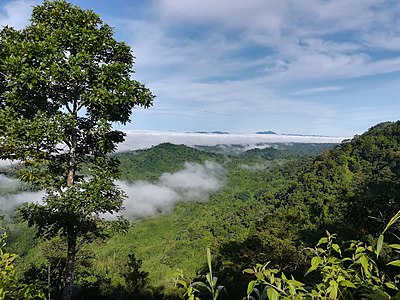 Baghaichhari Upazila