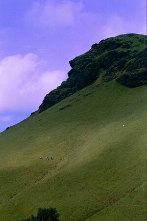 Kudremukh hillside.jpg