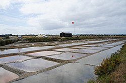 L'Île d'Olonne.- Vendée.