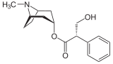 Immagine illustrativa dell'articolo Hyoscyamine